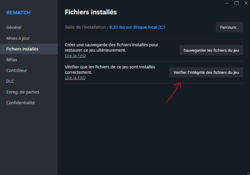 erreur-fatale-rematch-steam