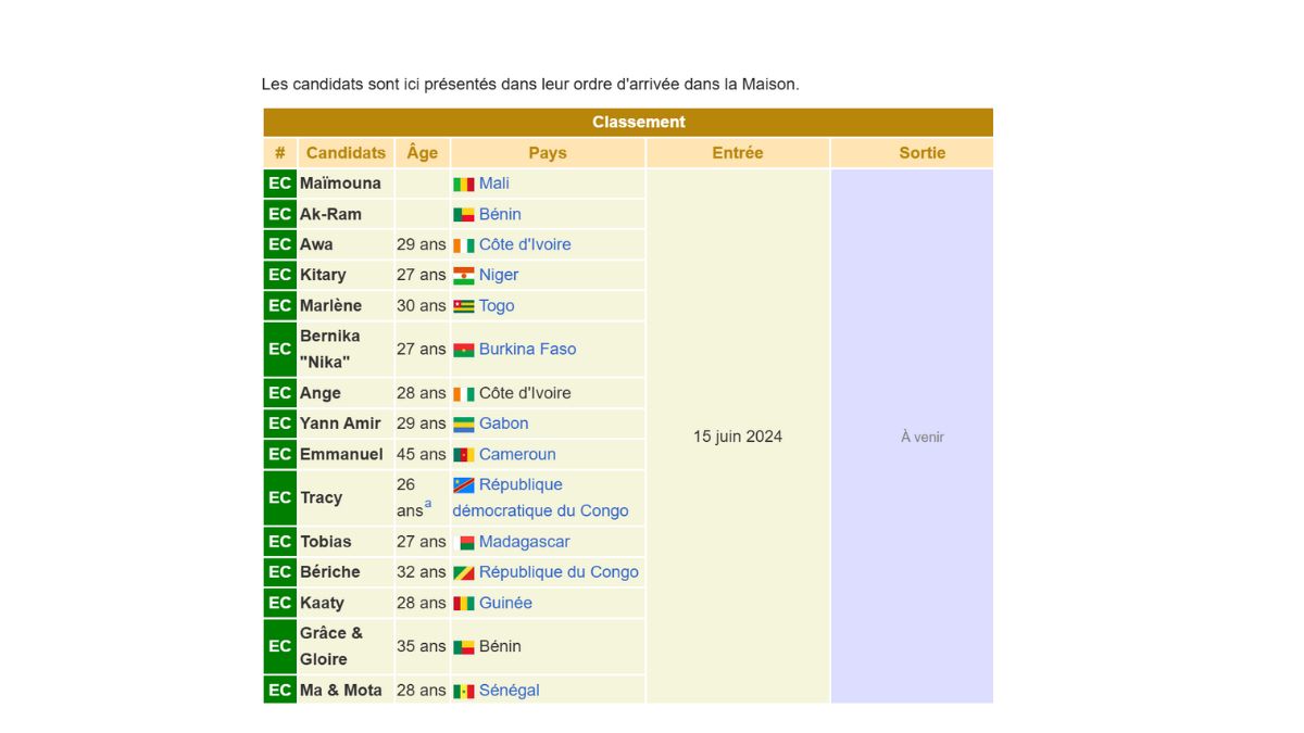 secret-story-afrique-candidats