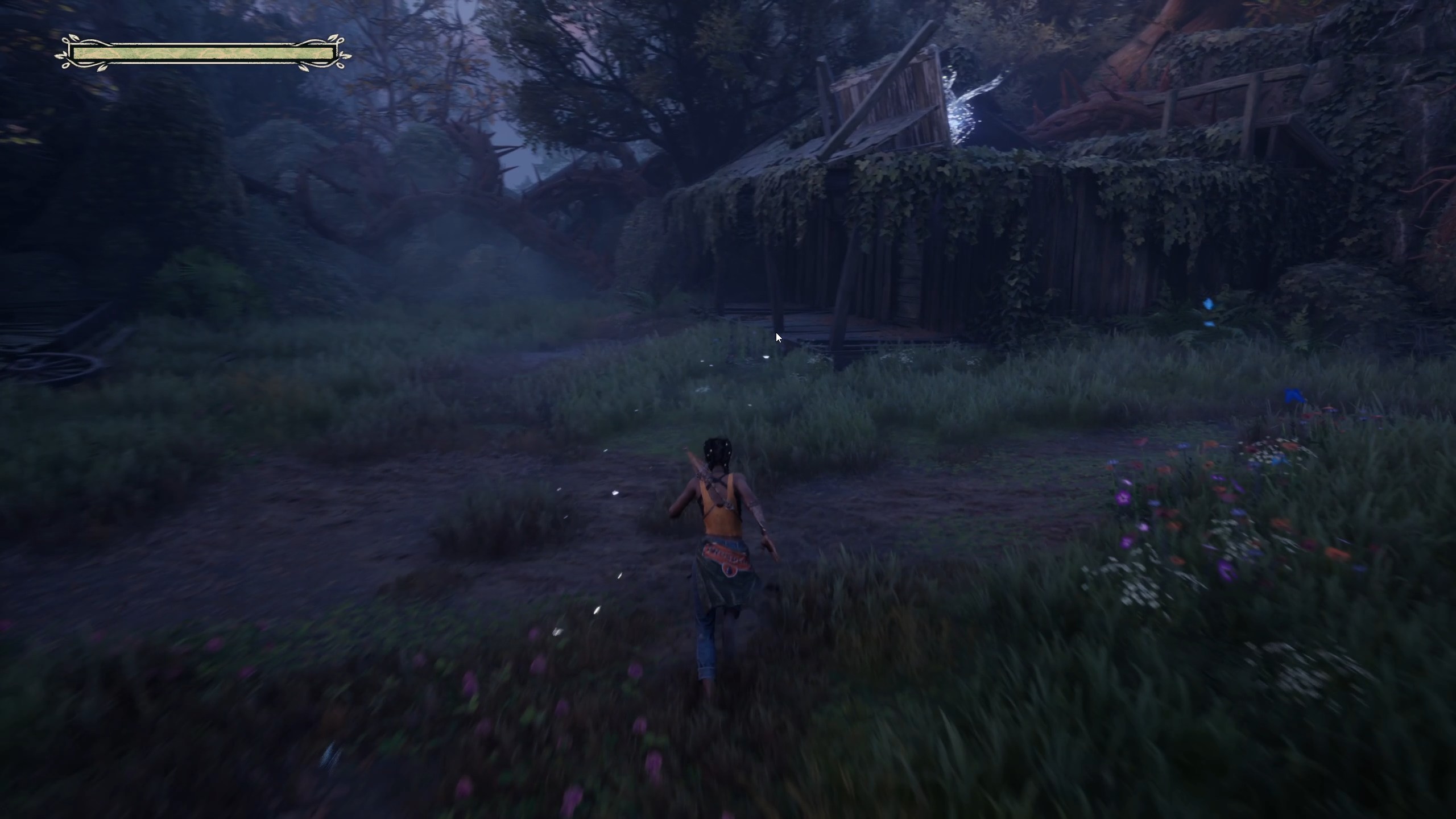 south-of-midnight-pelote