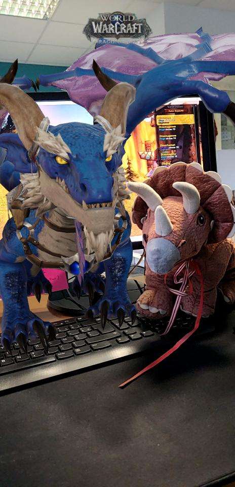 Breakflip-Envahit-De-Dragon-Druidouille