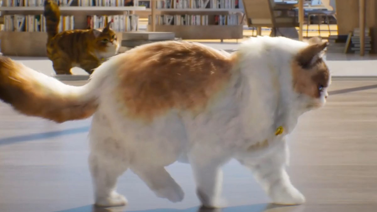 inzoi-animal-de-compagnie-comment-avoir-acheter-obtenir-ajouter