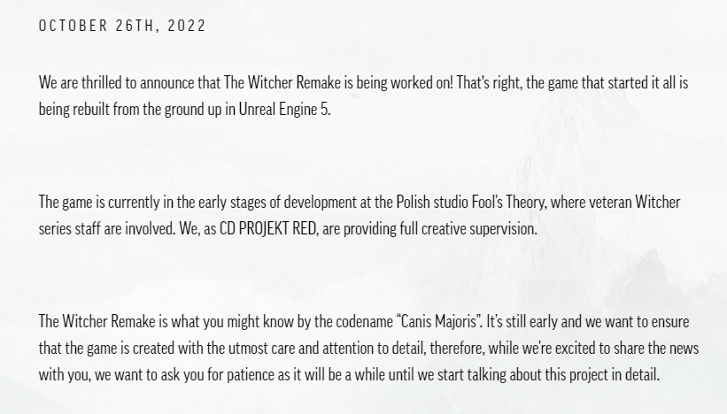 witcher-remake