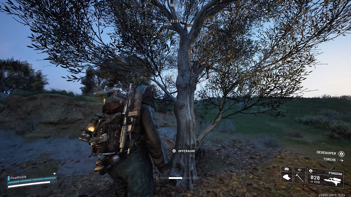 ar-raiders-arbre-olives