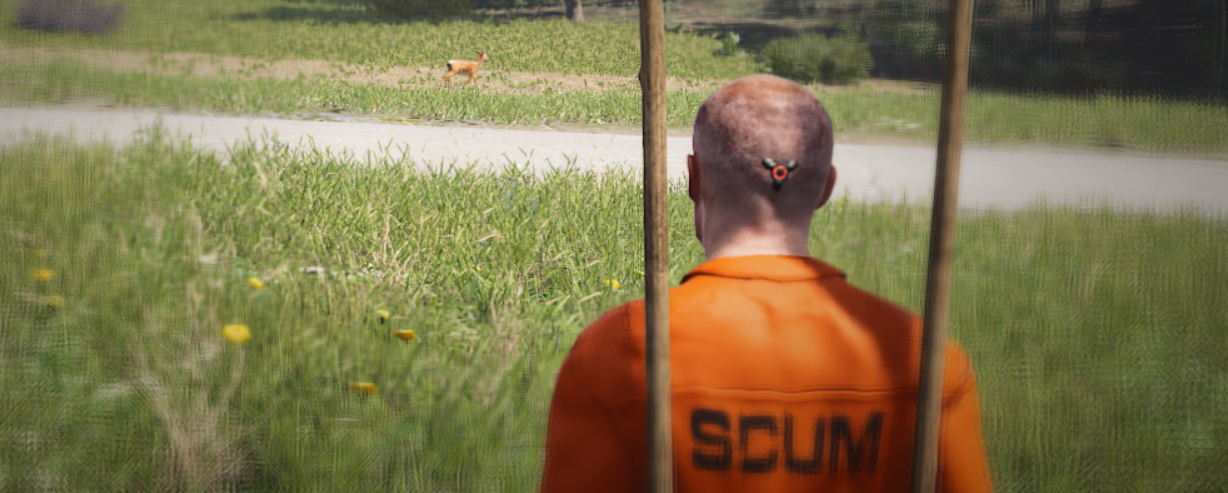 SCUM-chasse-cuisine-manger-biche