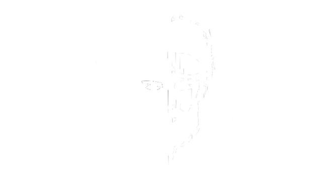 apex-legends-legende-mirage-capacite-ultime