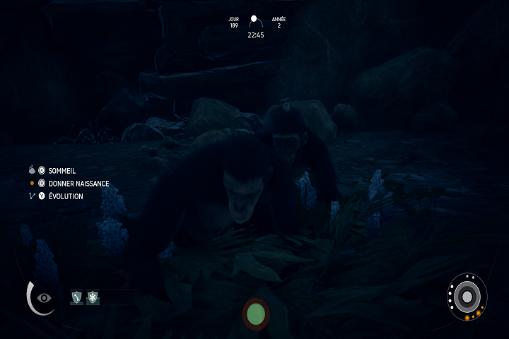 Le clan et la communication dans Ancestors