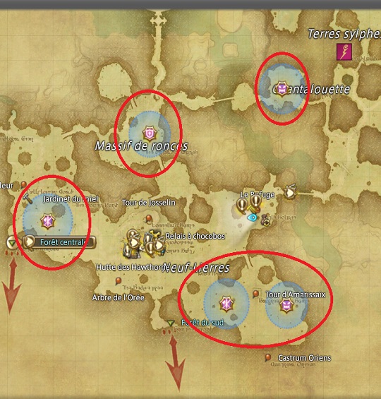 final-fantasy-14-pexing-level