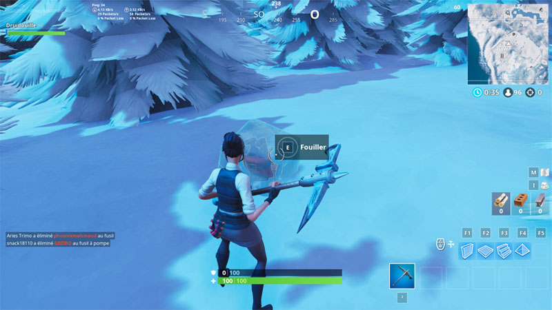 nain-de-jardin-glace-fortnite-6