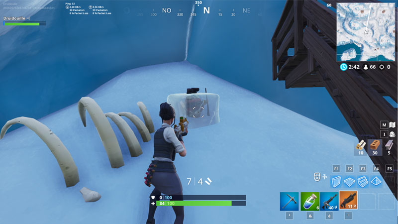 nain-de-jardin-glace-fortnite-7