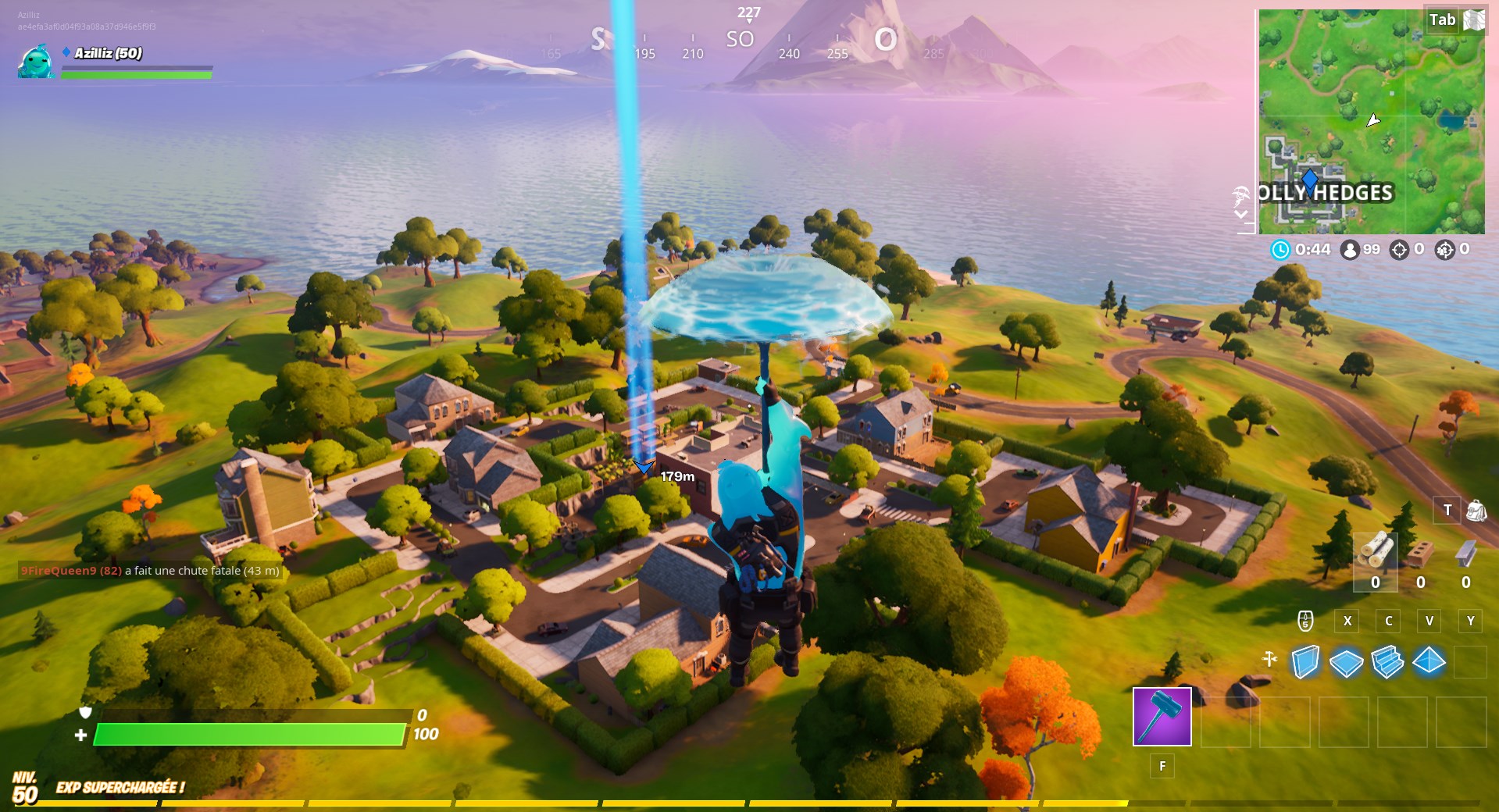 holly-hedges-fortnite