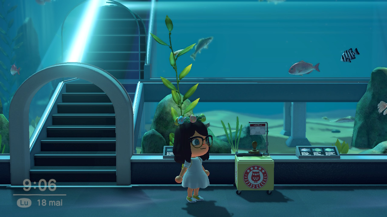 station-tampons-rallye-musee-borne-poisson