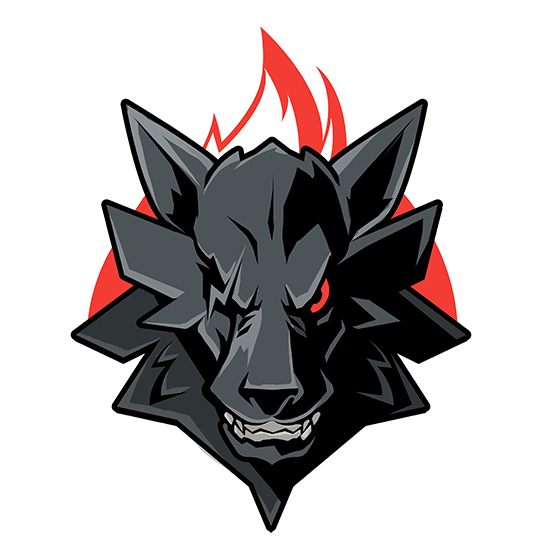 Retour sur les DWS et la victoire d'Allister Zoo