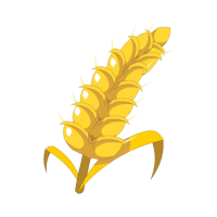 Monter Paysan du niveau 1 au niveau 200