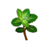 Monter Paysan du niveau 1 au niveau 200