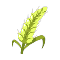 Monter Paysan du niveau 1 au niveau 200