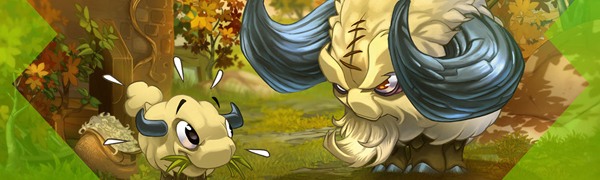 Guide du succès « Des débuts exemplaires »