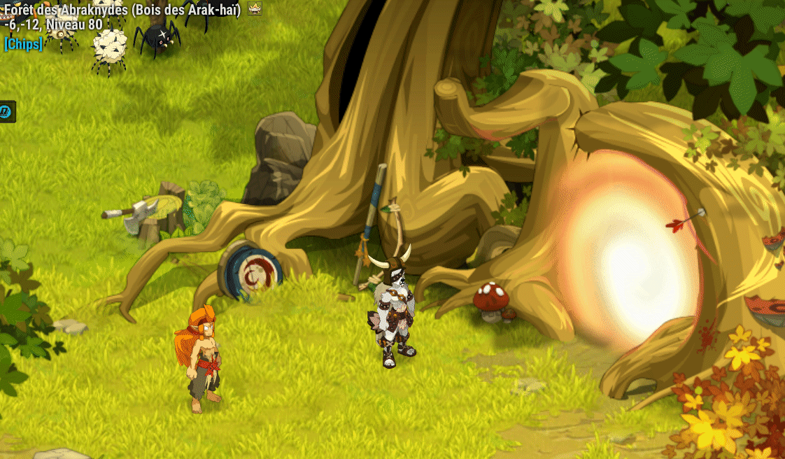 Un encadrement pour les tournois amateurs