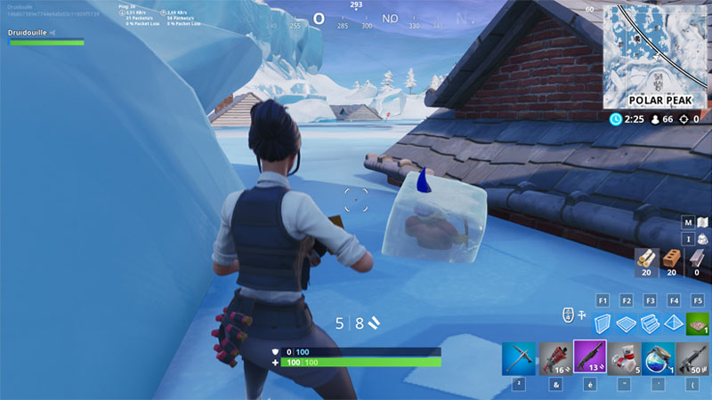 Défi : Trouver des nains de jardin glacés