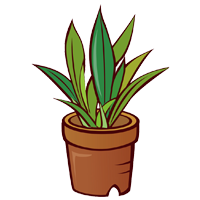 Astuces pour les cours de métamorphose