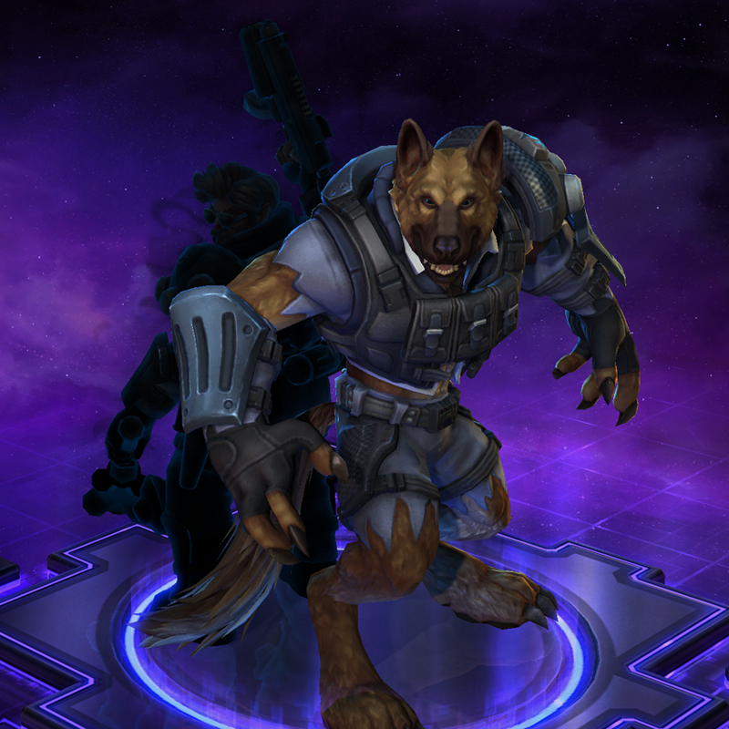 Le commando STORM arrive !