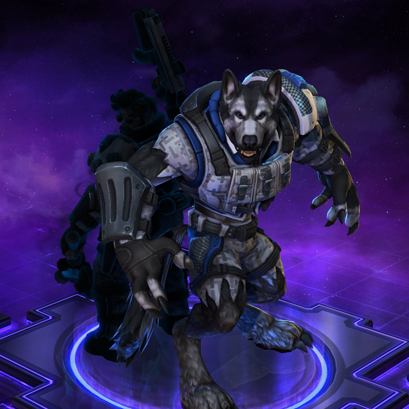 Le commando STORM arrive !