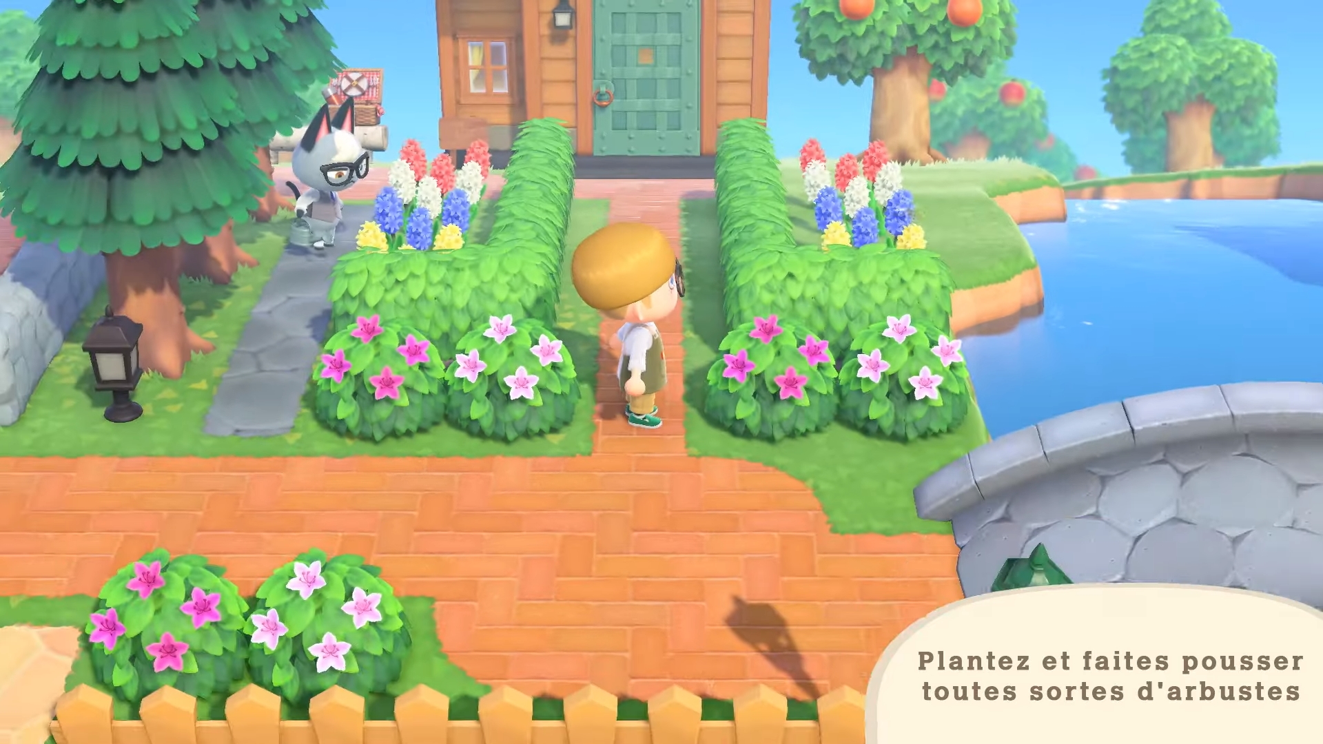 animal-crossing-new-horizons-racine-graines-arbustes-planter