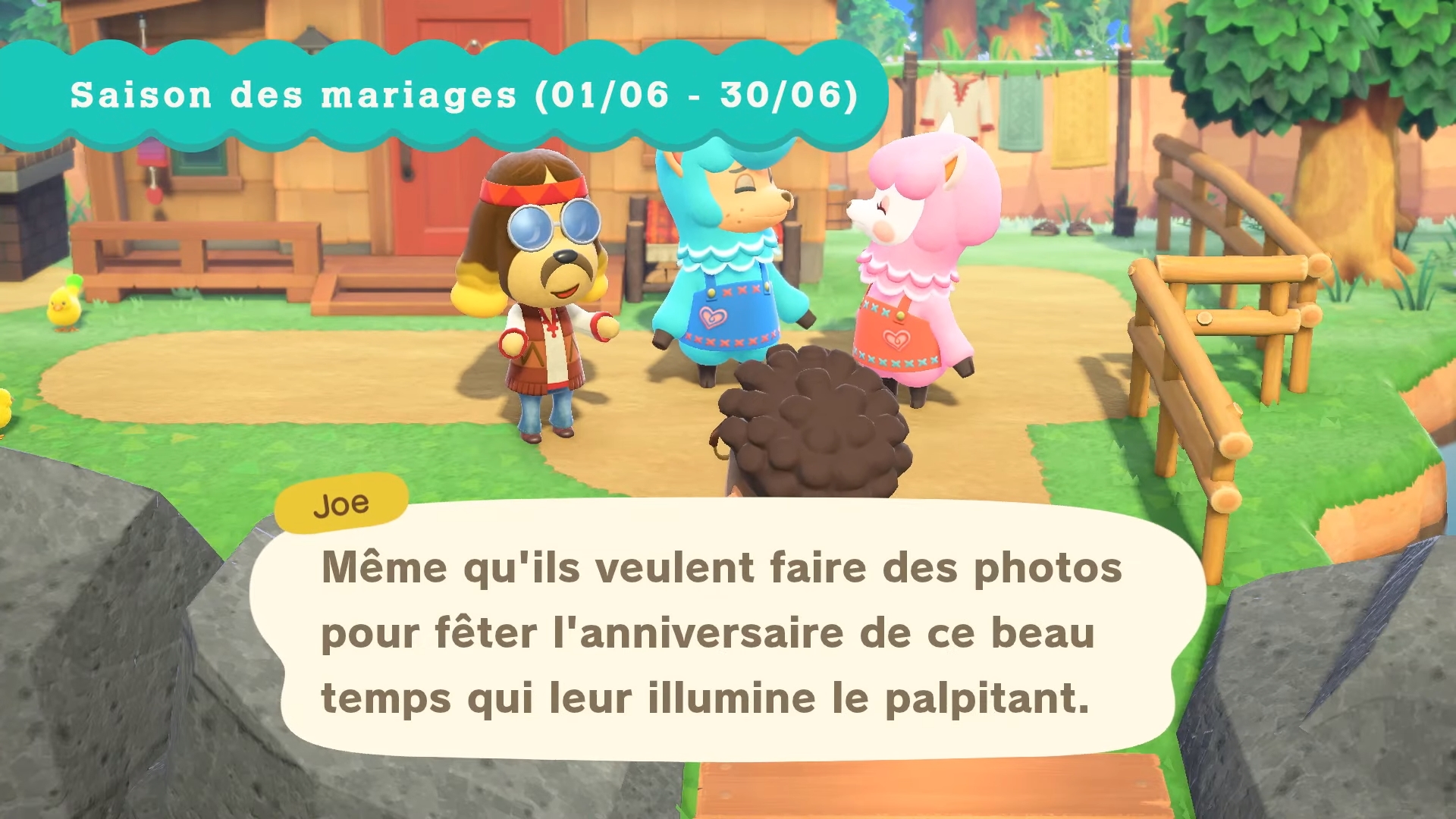 animal-crossing-new-horizons-saison-mariages-serge-risette-joe
