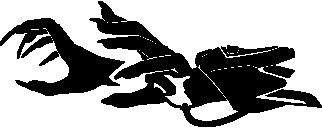 Moira est disponible