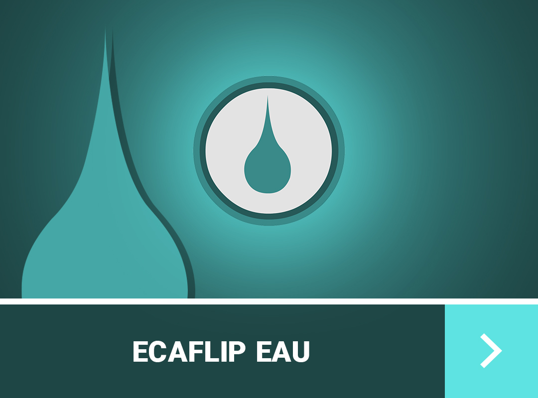guide-de-stuff-ecaflip-dofus