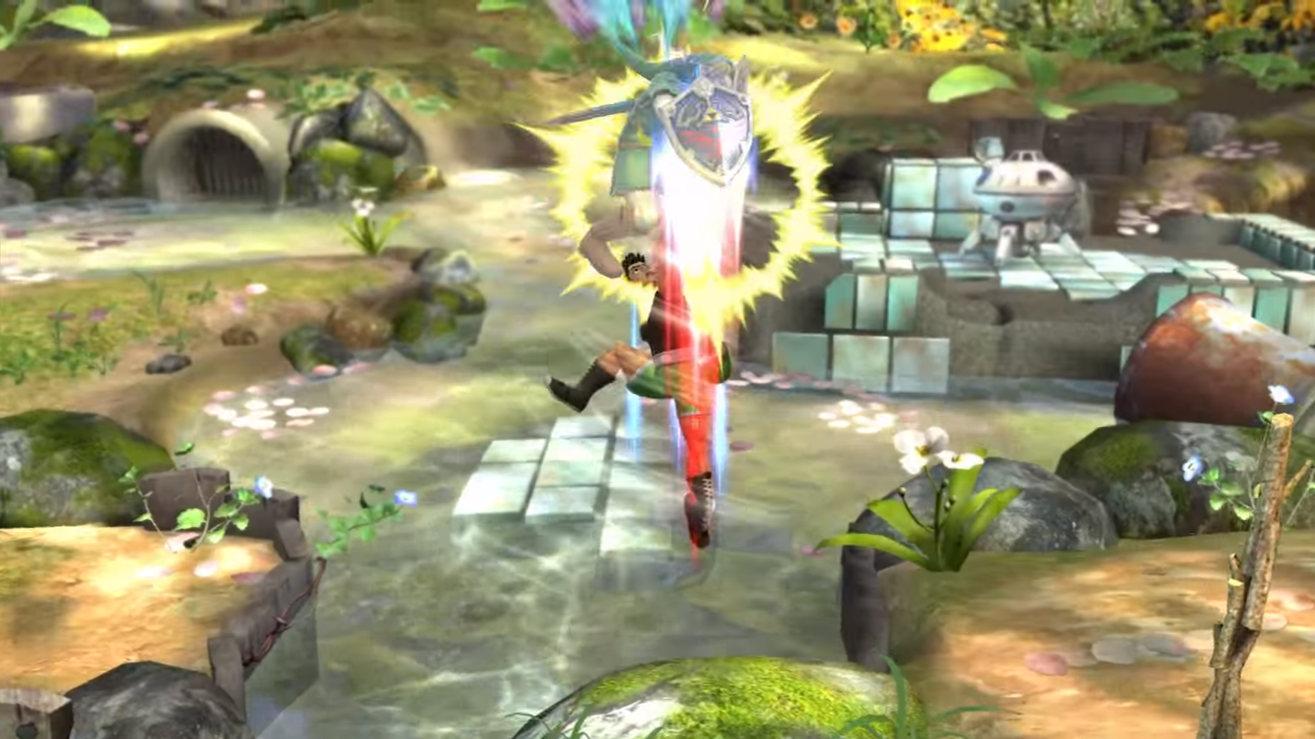 Little Mac special haut