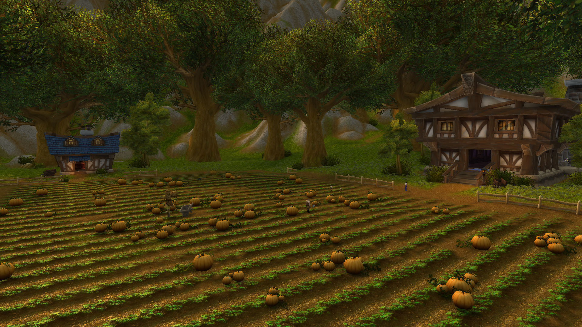 Des mini-capitales pour les races alliées