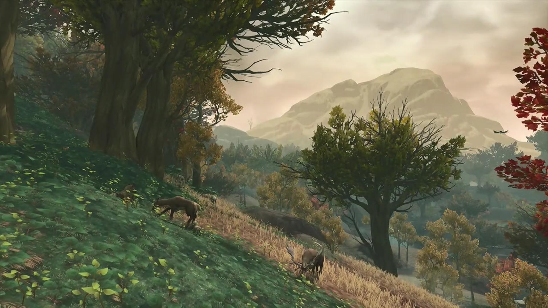 Découvrez Drustvar, la zone Alliance