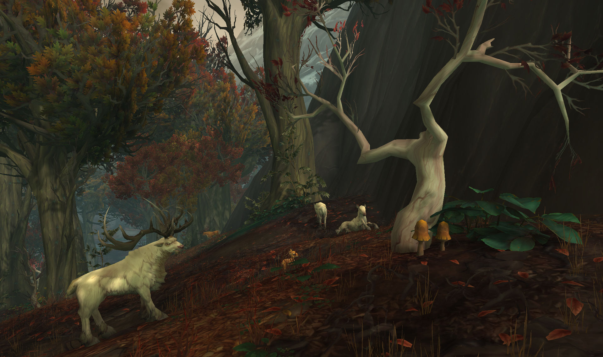 Découvrez Drustvar, la zone Alliance