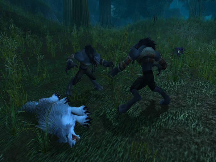 Le bois maudit présent dans wow