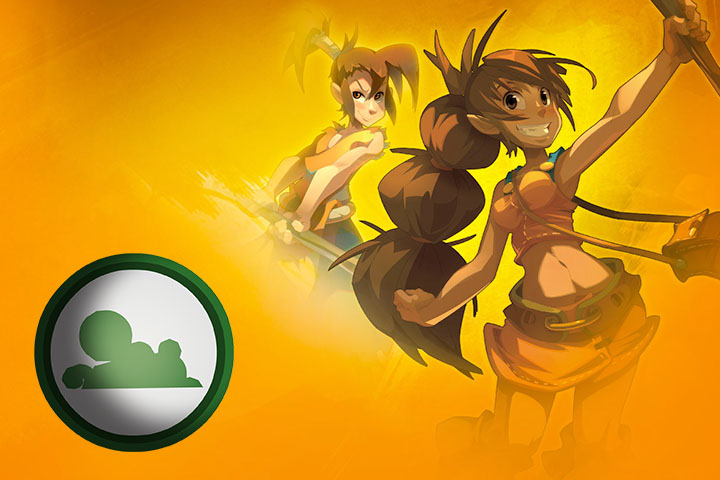 DOFUS : Guide et Stuff du Féca Air