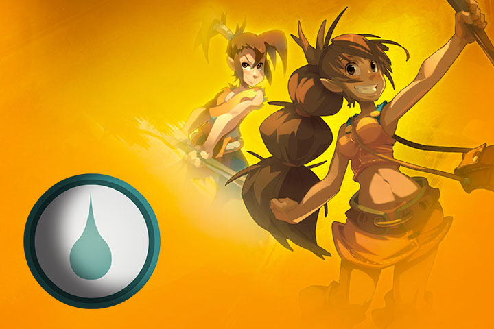 DOFUS : Guide et Stuff du Féca Eau