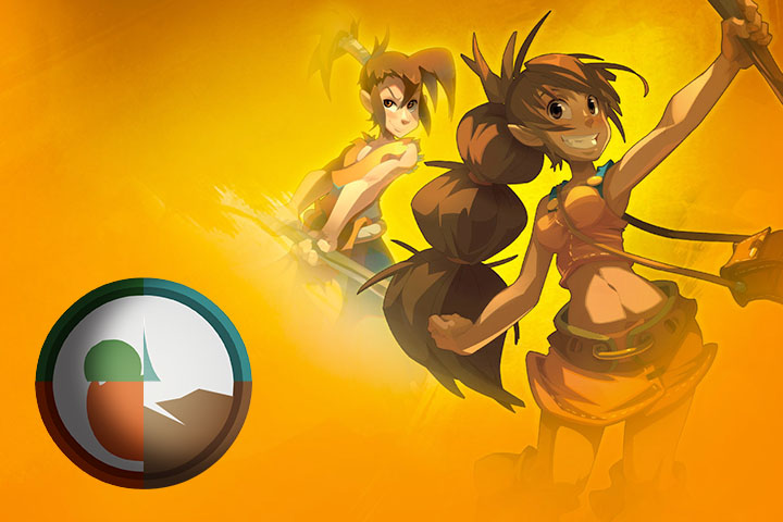 DOFUS : Guide et Stuff du Féca Multi-Élément