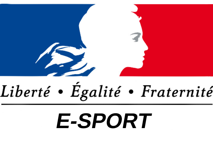 eSport : GO, LDLC et l’OL agréées par l’État pour l’emploi de joueurs professionnels
