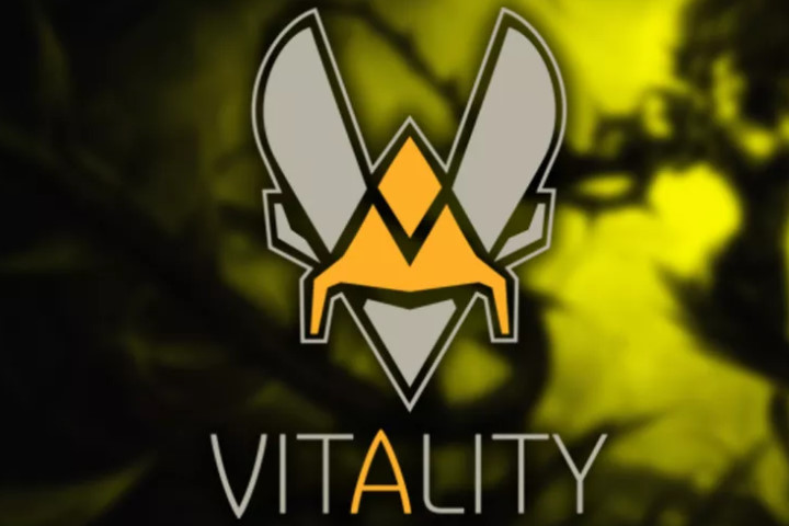 Team Vitality débloque 2,5 Millions d’euros pour son développement !