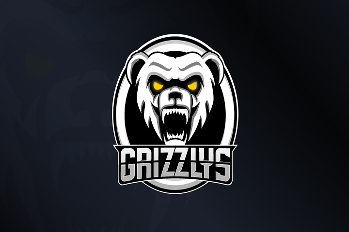 OW : Montreal Esports, l’organisation de Georges St-Pierre, rachète le slot de Rogue en Contenders NA