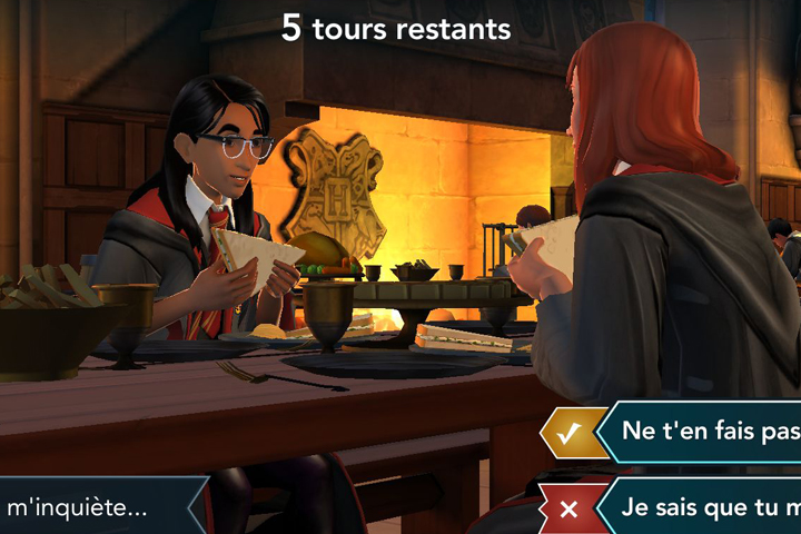 Convaincre Rowan de vous accompagner dans votre enquête, Harry Potter Hogwarts Mystery