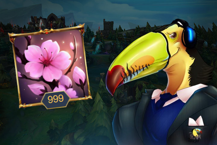LoL : Toucan Celeste niveau 999