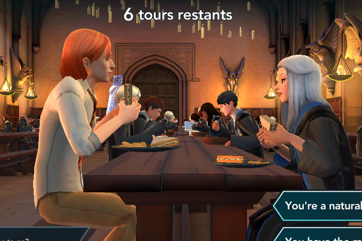 Convaincre Bill de vous accompagner dans la Forêt Interdite, quatrième année, Harry Potter Hogwarts Mystery