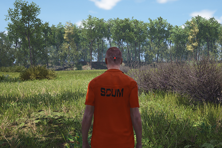SCUM : Jouer en équipe, trouver l’adresse IP des serveurs