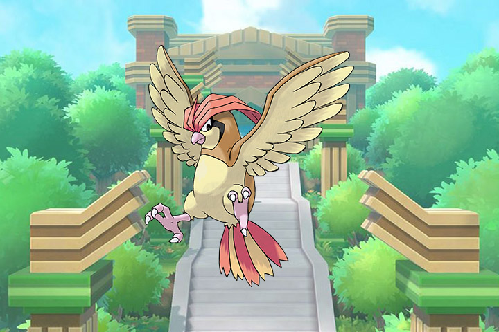 Roucoups – Pokémon Let’s Go, Pikachu et Évoli – 017