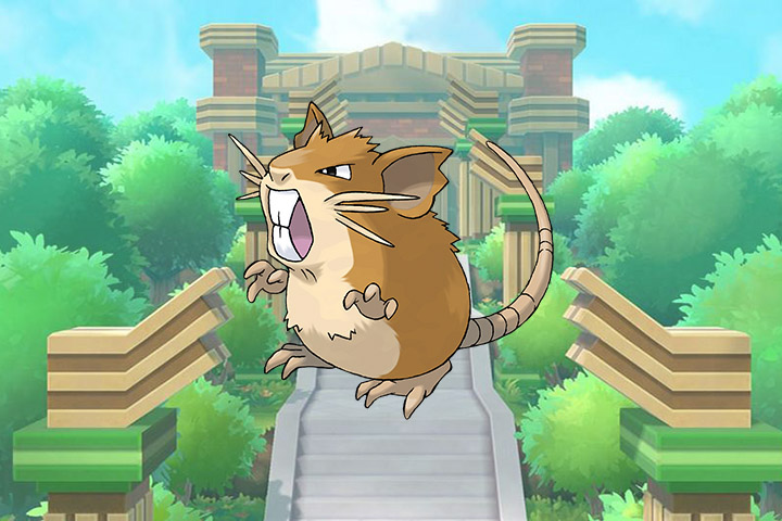 Rattatac – Pokémon Let’s Go, Pikachu et Évoli – 020