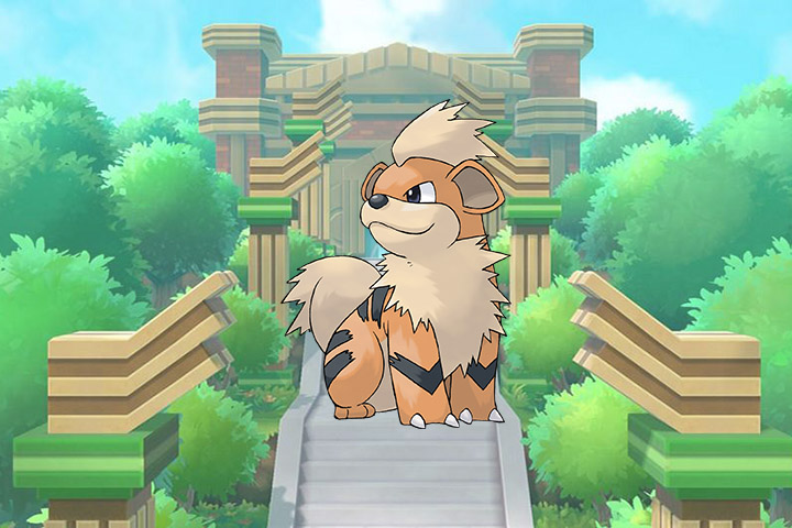 Caninos – Pokémon Let’s Go, Pikachu et Évoli – 058