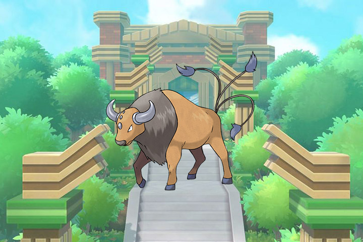 Tauros – Pokémon Let’s Go, Pikachu et Évoli – 128