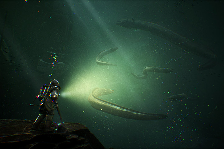 The Sinking City : Informations sur le jeu