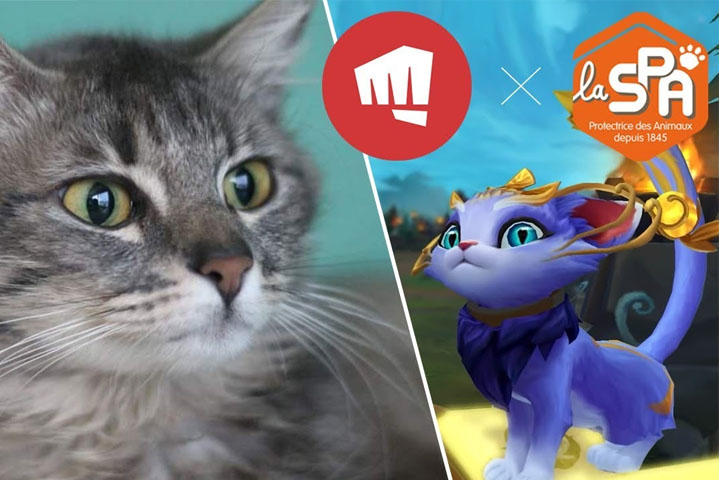 Riot Games France rend visite à la SPA à Gennevilliers pour la sortie de Yuumi